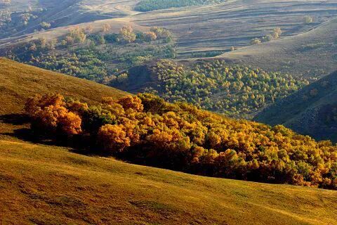 2023年五一小长假即将来临~呼和浩特旅游攻略来咯！