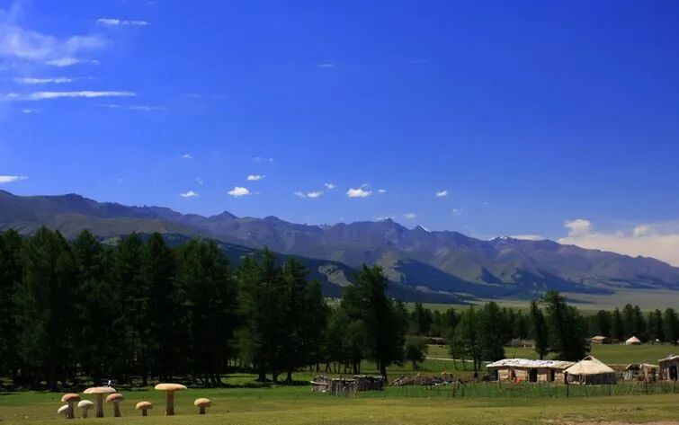 2023年五一小长假即将来临~呼和浩特旅游攻略来咯！