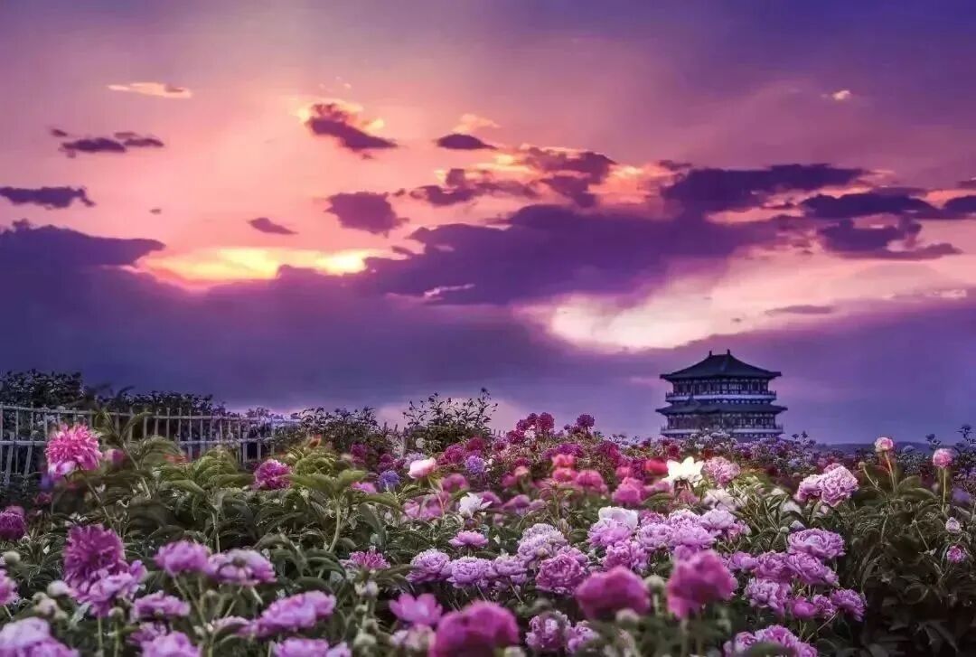 2023年五一小长假即将来临~呼和浩特旅游攻略来咯！