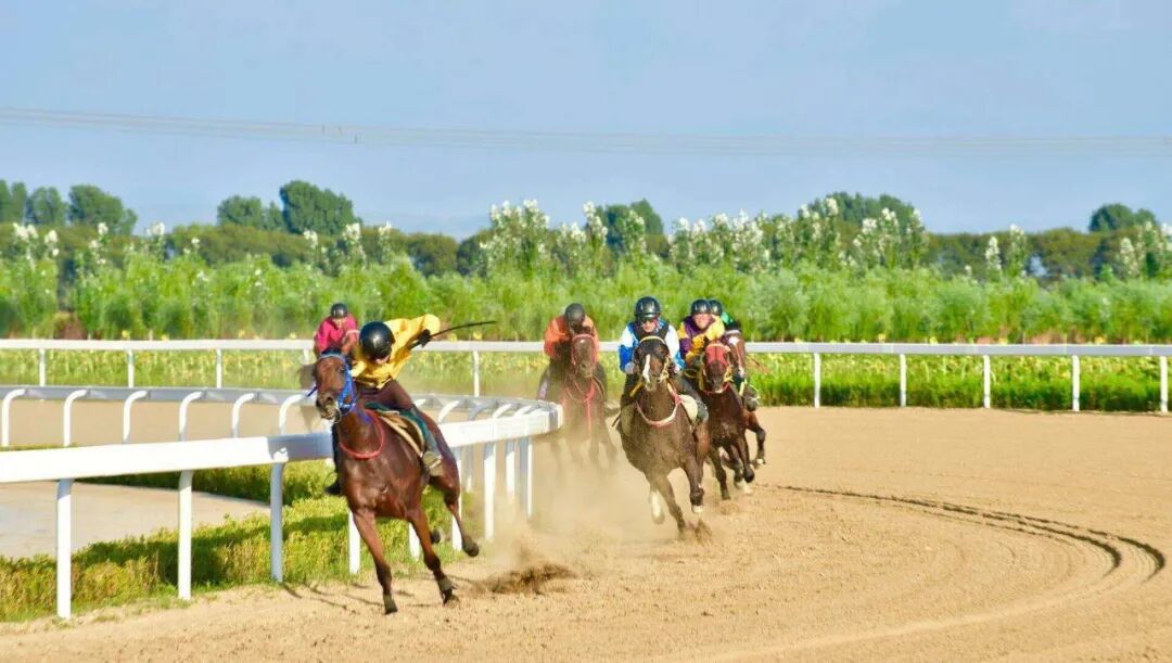 2023年五一小长假即将来临~呼和浩特旅游攻略来咯！