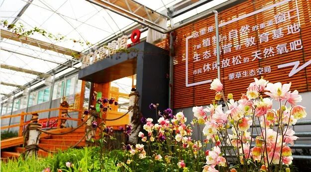 2023年五一小长假即将来临~呼和浩特旅游攻略来咯！