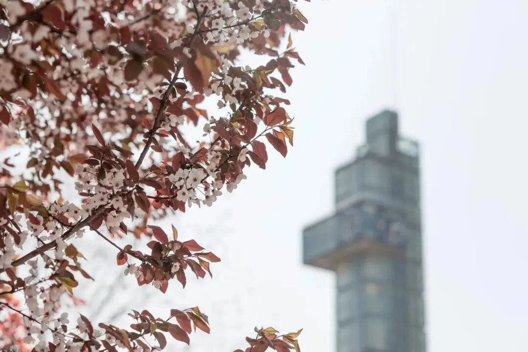 学生认证edu邮箱_buaa.edu.cn统一认证_edu邮箱