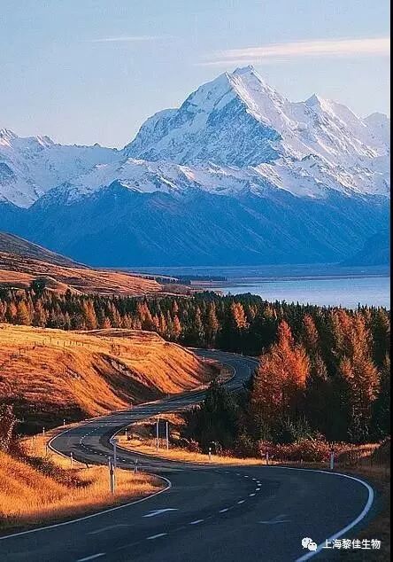 一次性输液器怎么处理北京伏尔特一次性使用精密过滤输液器 -自动排气，自动止液_https://www.jmylbn.com_新闻资讯_第4张