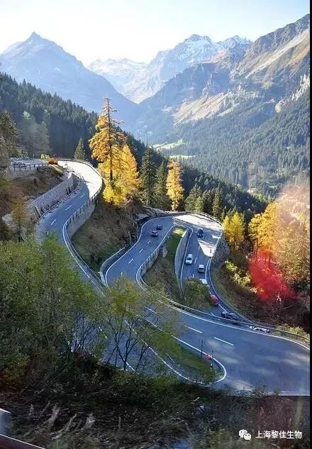 一次性输液器怎么处理北京伏尔特一次性使用精密过滤输液器 -自动排气，自动止液_https://www.jmylbn.com_新闻资讯_第3张