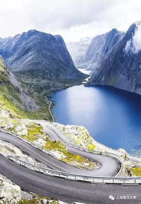 一次性输液器怎么处理北京伏尔特一次性使用精密过滤输液器 -自动排气，自动止液_https://www.jmylbn.com_新闻资讯_第2张