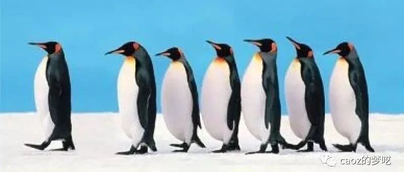 社交网络的先烈们