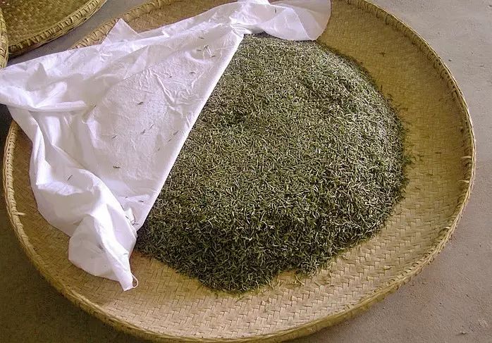 普洱毛茶都属黄茶?1张图瞬间弄清7种不同的闷黄工艺(值得收藏)|广西优