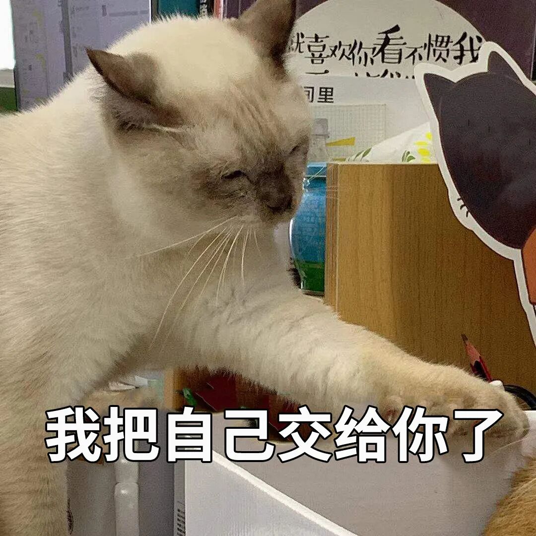对话原本猫粮首席专家，健康养宠之路任重道远！