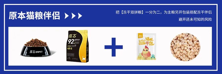 对话原本猫粮首席专家，健康养宠之路任重道远！