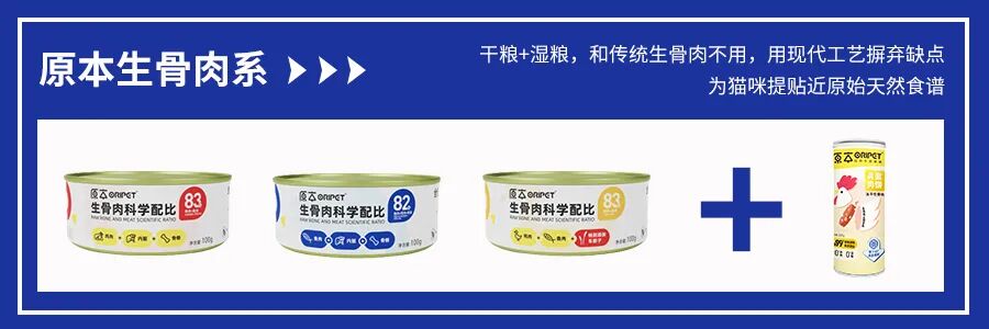 对话原本猫粮首席专家，健康养宠之路任重道远！