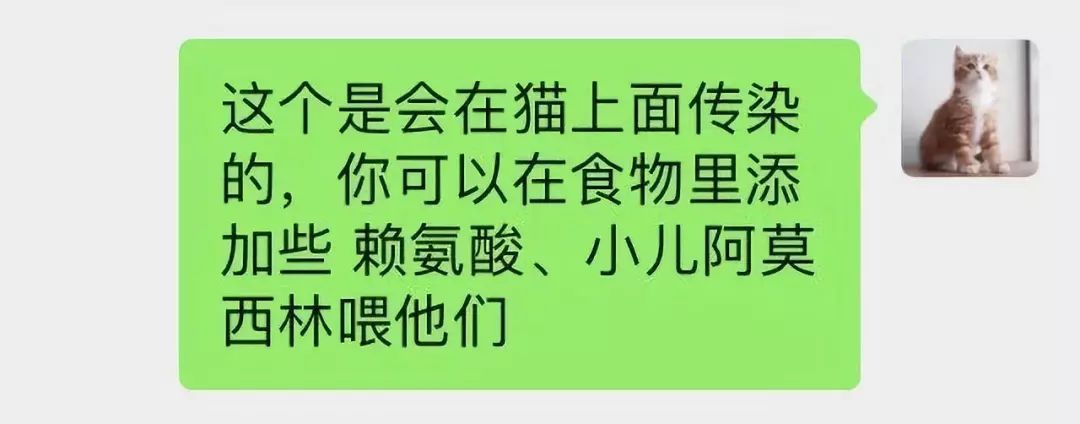 有1個獸醫朋友，抵得過進5家寵物醫院！ 寵物 第20張