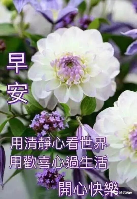 萌娃问好表情图片早上好问候语 励志音画 微信公众号文章阅读 Wemp