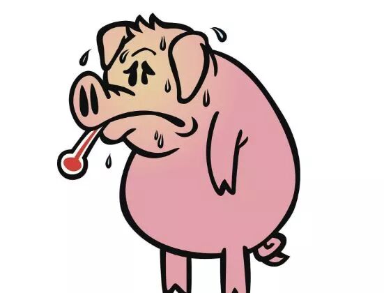 鳌拜的"缩阳入腹"能实现吗?竟然还有神秘老太喜欢收藏丁丁?