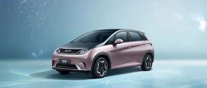 趣试驾｜比亚迪海豚：城市中“游动”的圆头萌物