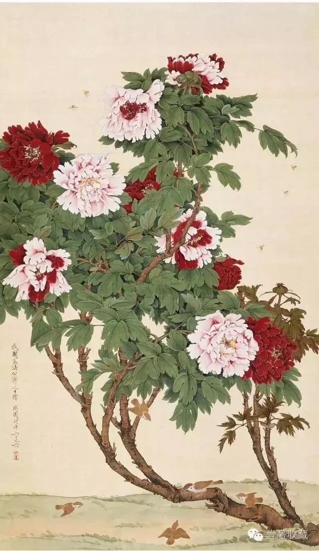 【名家欣赏】历代名家牡丹画大赏,国色天香!