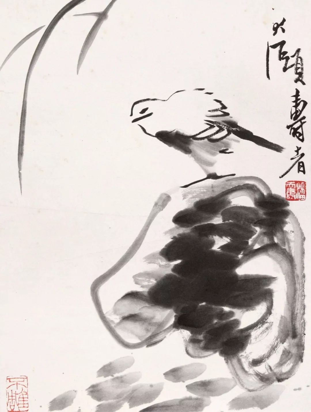 八大山人 花鳥 八大山人花鸟画作欣赏：自由、虚空、物我合一– 博物画
