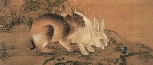 兔年将至，赏国画中的兔，天真可爱！图片
