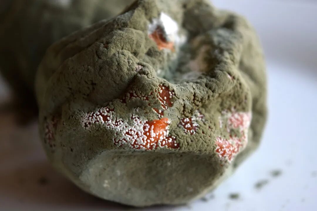 印象霉菌毒素毒性是砒霜的68倍蓄积残留二次污染这就是个破坏养殖场