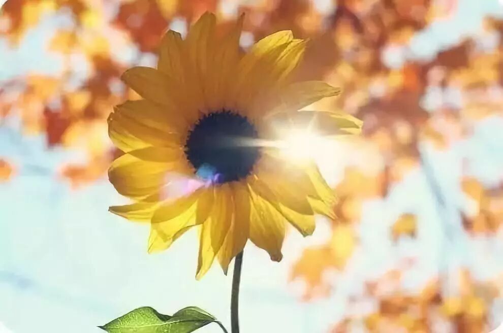 640?wx_fmt=jpeg&tp=webp&wxfrom=5&wx_lazy=1&wx_co=1