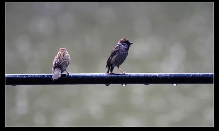 640?wx_fmt=jpeg&tp=webp&wxfrom=5&wx_lazy=1&wx_co=1