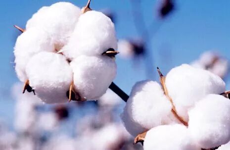 640?wx_fmt=jpeg&tp=webp&wxfrom=5&wx_lazy=1&wx_co=1