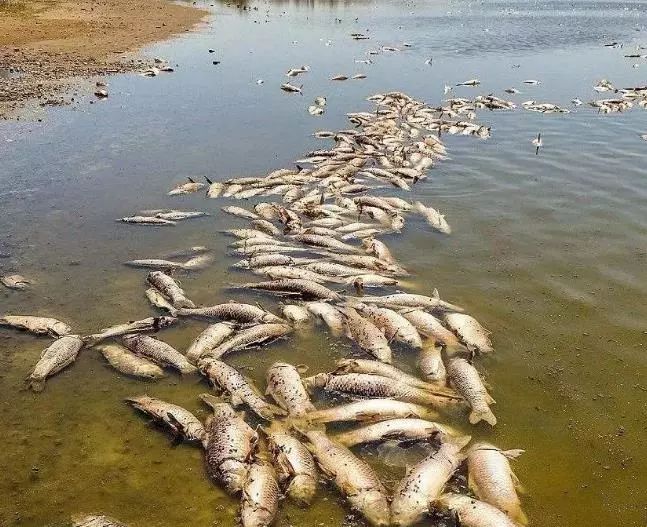 水污染给我们带来了癌症风险，拿走了我们手里的积蓄！