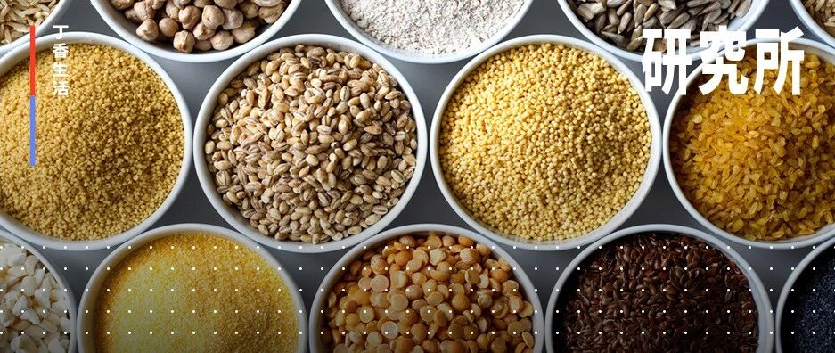 别靠不吃主食减肥了！9 种健康主食排行榜，紫薯居然只排第八