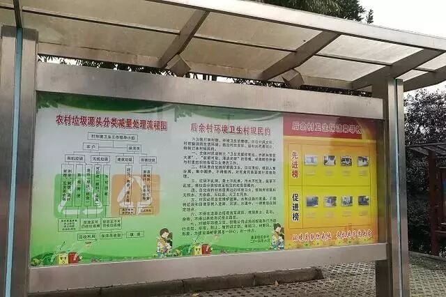 6月5日起 在金华农村不分类垃圾是违法行为！