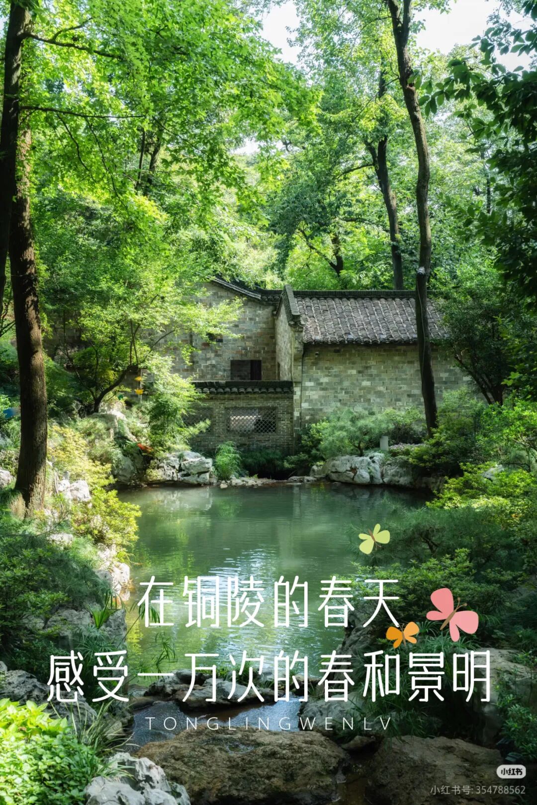 微信图片_20260319150050_701_43.jpg