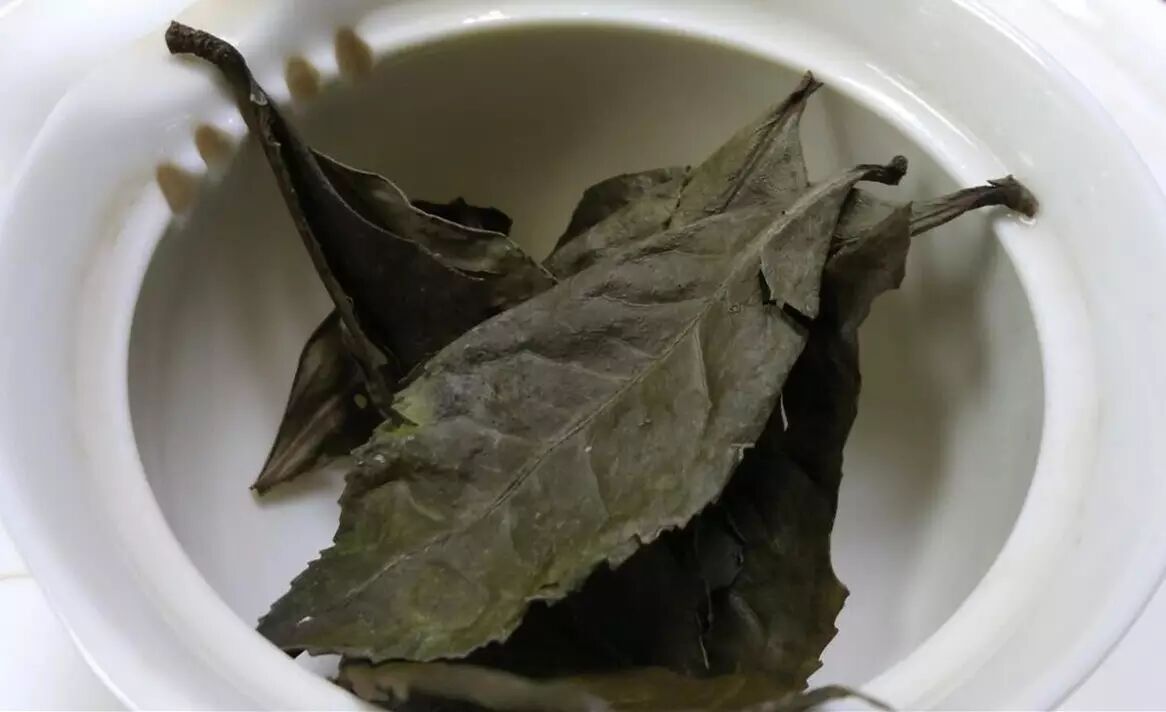 习茶:空杯心态.