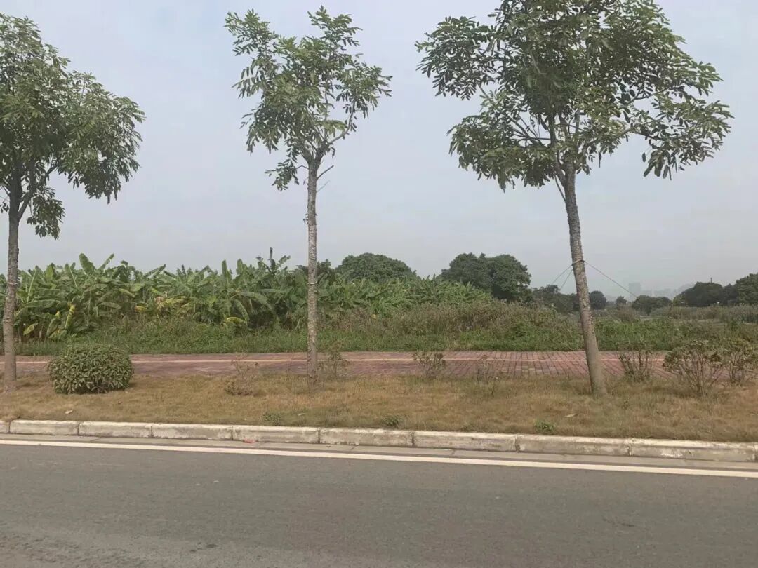 南沙买房买哪个板块好？南沙哪里房子值得投资？