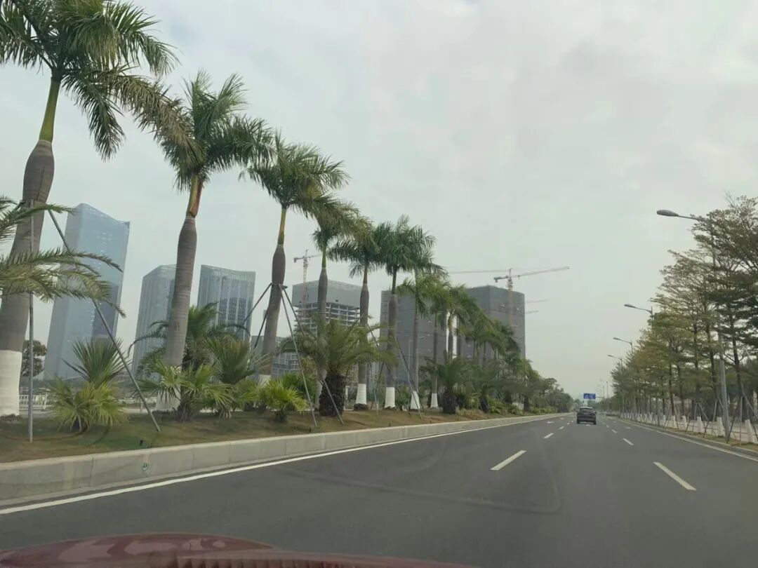 南沙买房买哪个板块好？南沙哪里房子值得投资？