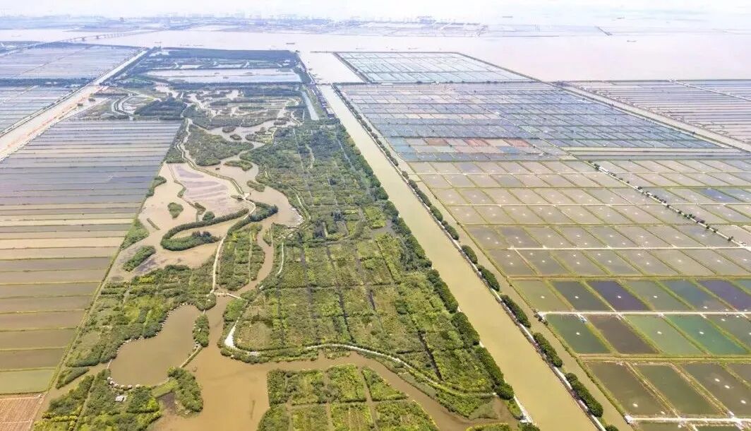 南沙买房买哪个板块好？南沙哪里房子值得投资？