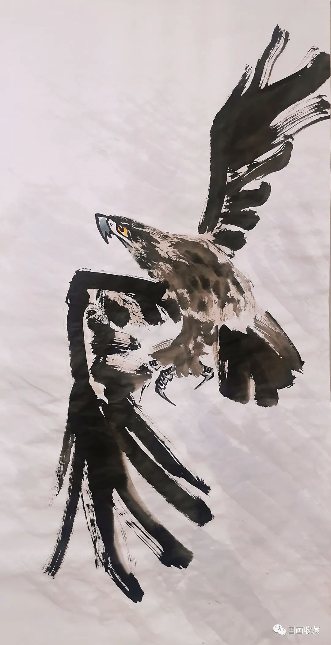 中国画大写意鹰囯画作品选 - chrome插件网