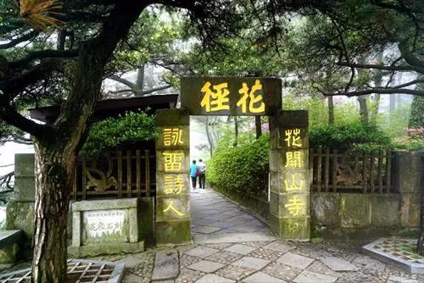 点击放大