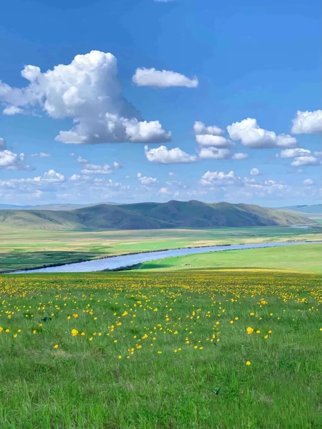 辉腾锡勒黄花沟挑战最美旅行打卡地