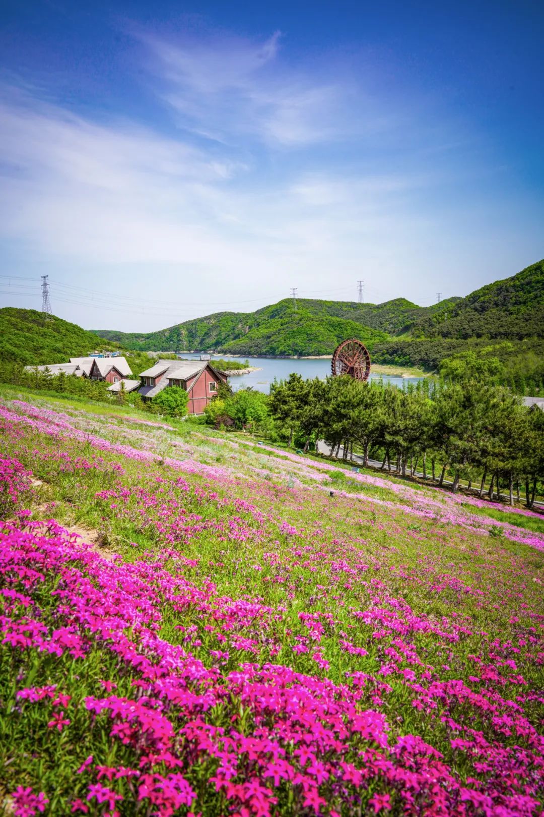 大连英歌石植物园拆迁图片