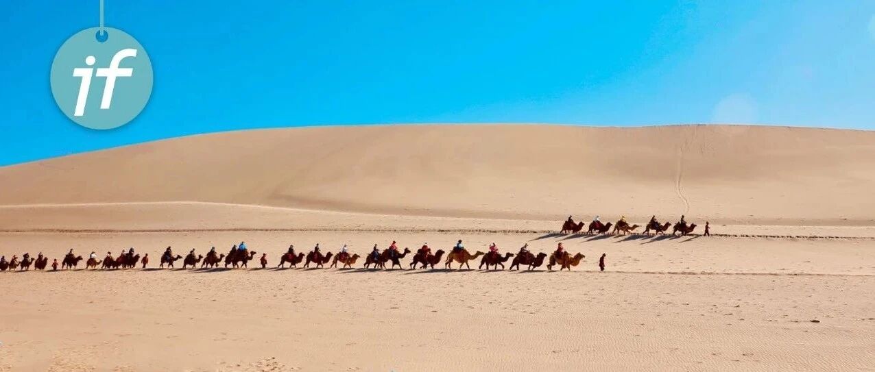 骑骆驼、逛沙漠、看雪山，大西北 YYDS！