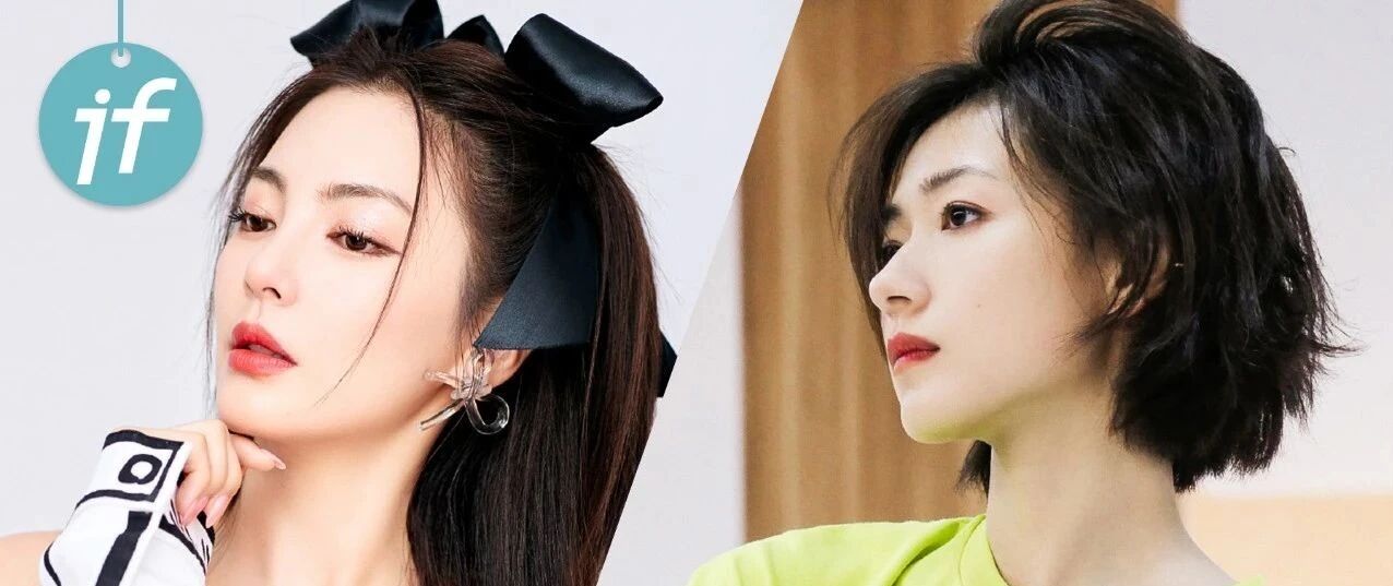 能“降服”张雨绮和万茜的，也只有 ta 了