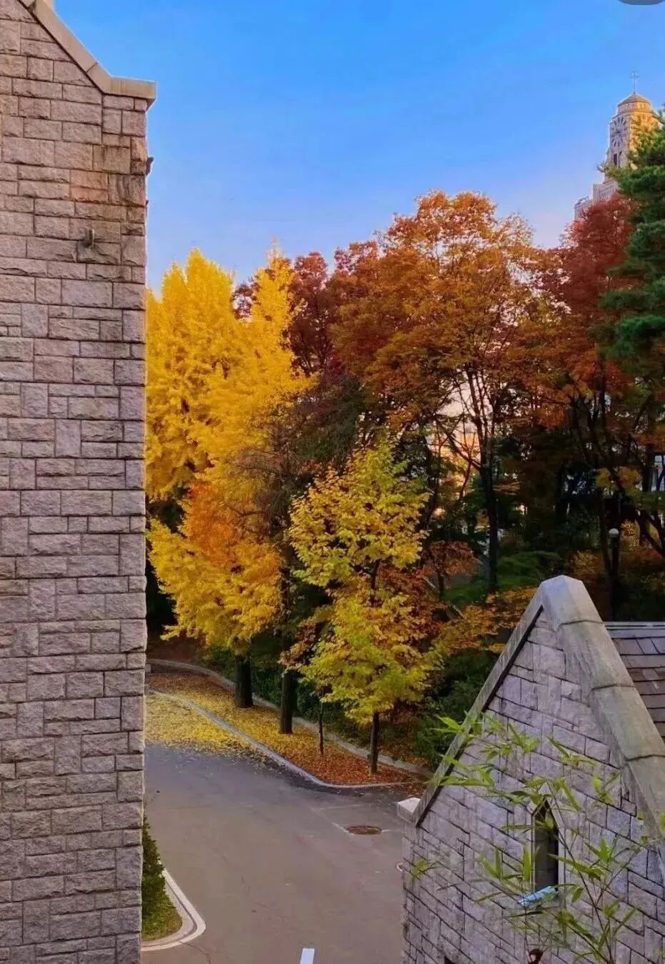 免试录取 | 2024年9月韩国高丽大学1.5年制中文授课国际创业学硕士招生简章！(图15)