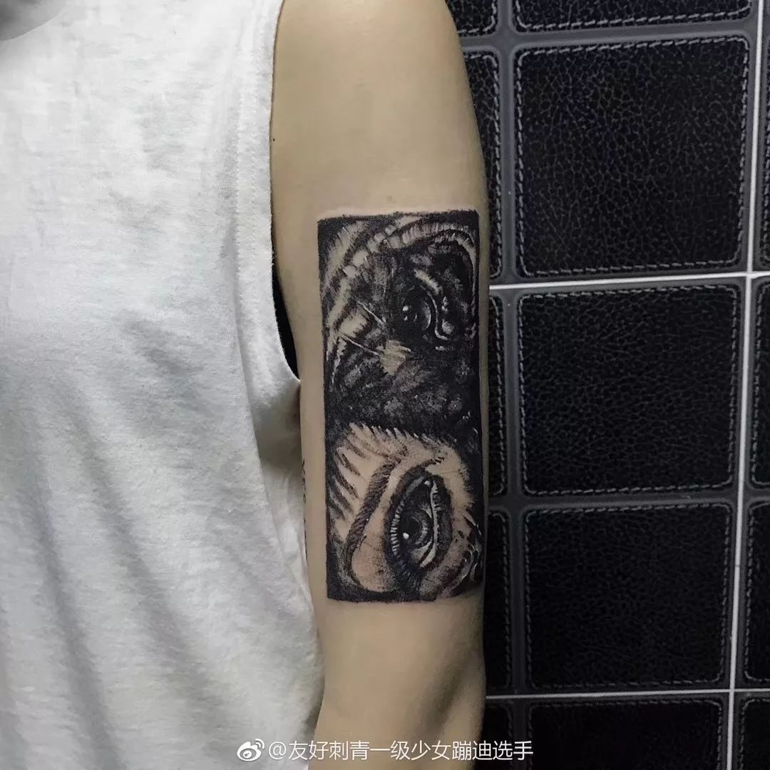 Nohaha Tattoo 来纹个身吧 可以故事 可以单纯好看 卡乐士 微信公众号文章阅读 Wemp