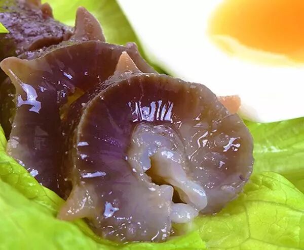 海参怪不得受欢迎，原来这么多人群需要它！