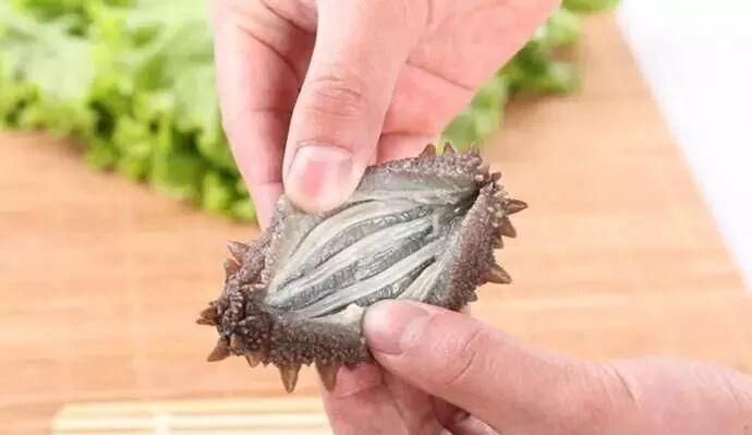 海参内筋被海参产区的渔民们称为"海龙丝",是海参的神经系统,很多朋友