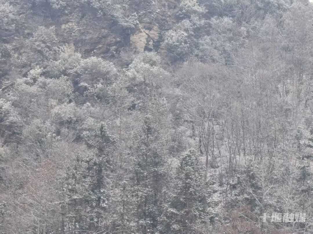 十堰雪“闪现”！今早飘雪下午转晴 暖冬模式一键切换
