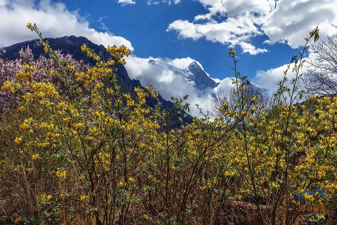 南迦巴瓦，何以成為中國最美的山峰？ 旅遊 第25張