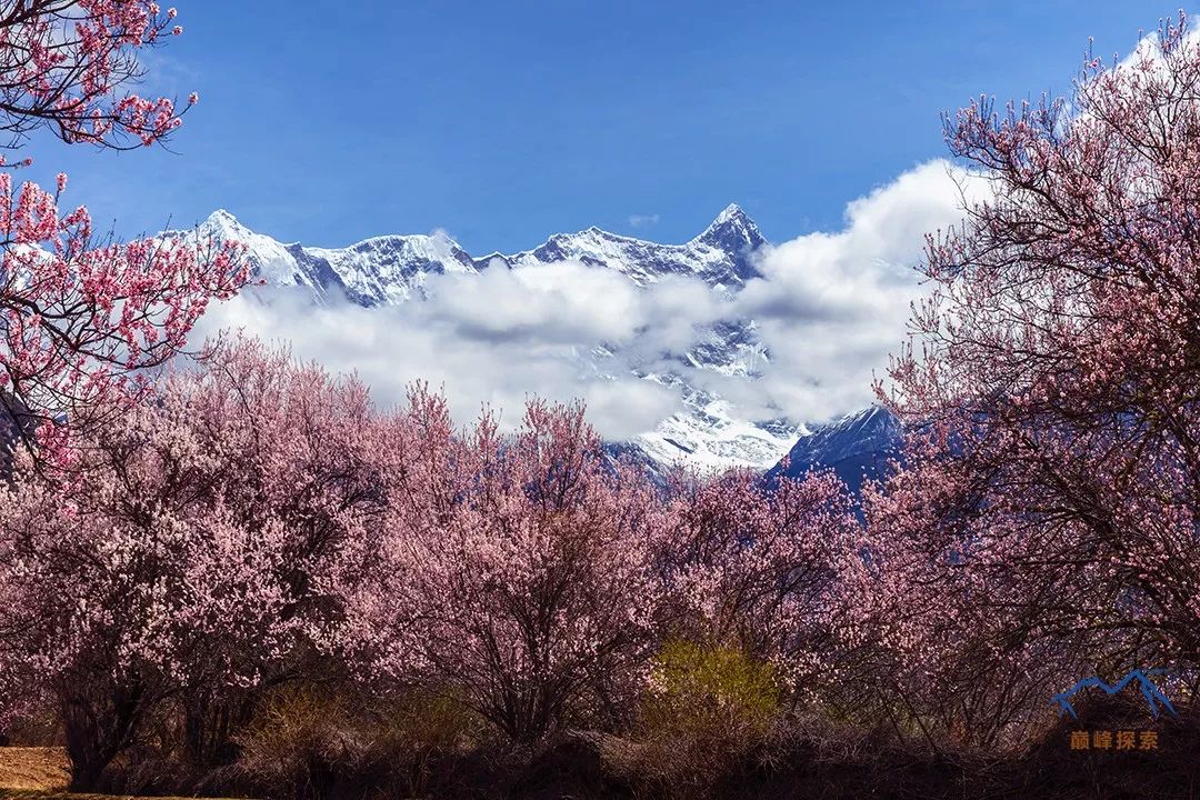 南迦巴瓦，何以成為中國最美的山峰？ 旅遊 第34張