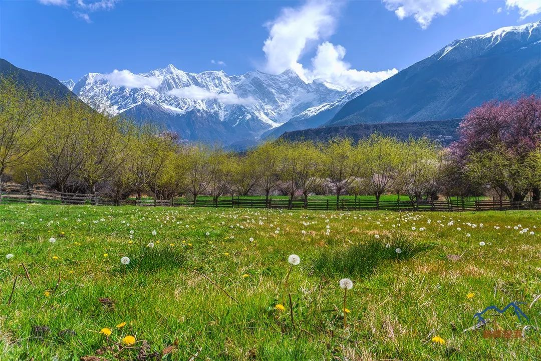 南迦巴瓦，何以成為中國最美的山峰？ 旅遊 第35張