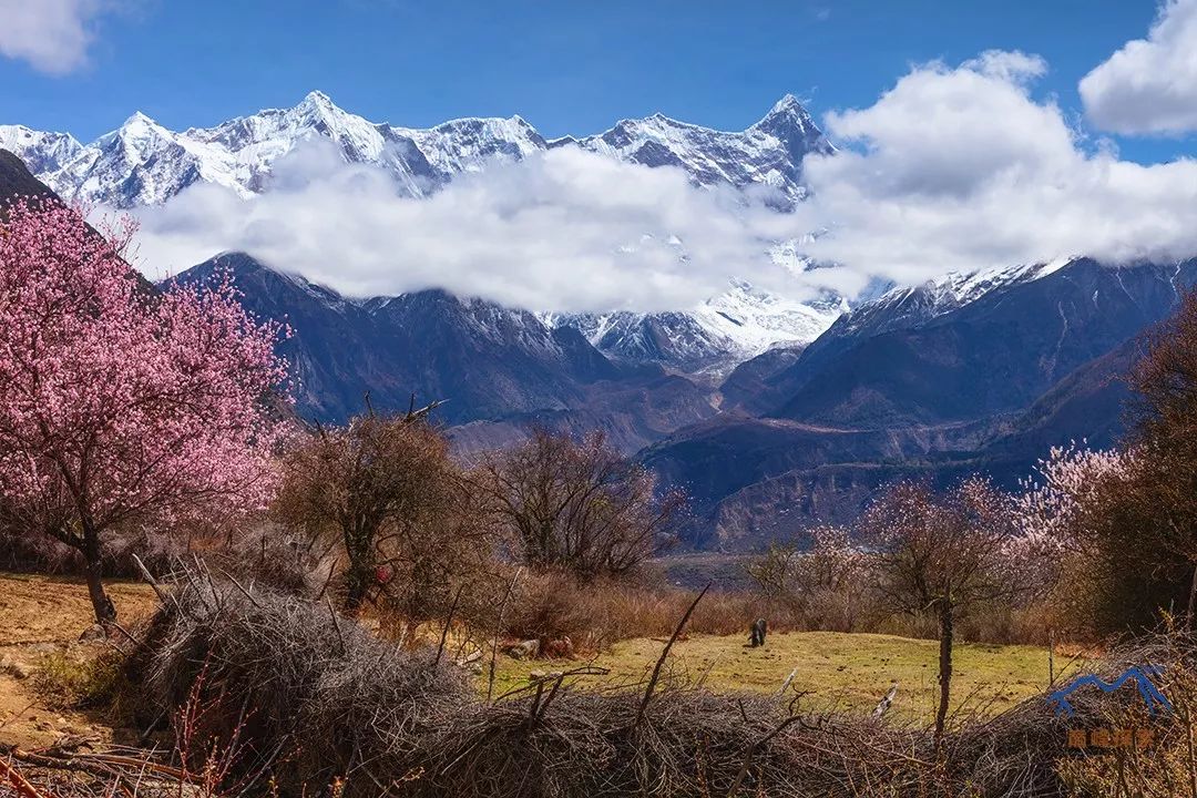 南迦巴瓦，何以成為中國最美的山峰？ 旅遊 第41張