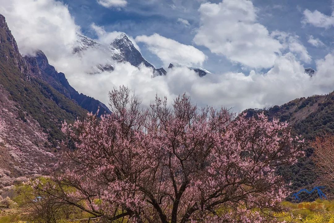 南迦巴瓦，何以成為中國最美的山峰？ 旅遊 第24張