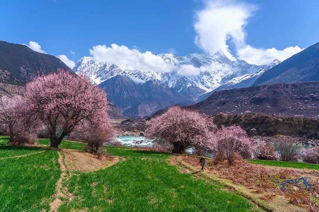 南迦巴瓦，何以成為中國最美的山峰？ 旅遊 第10張